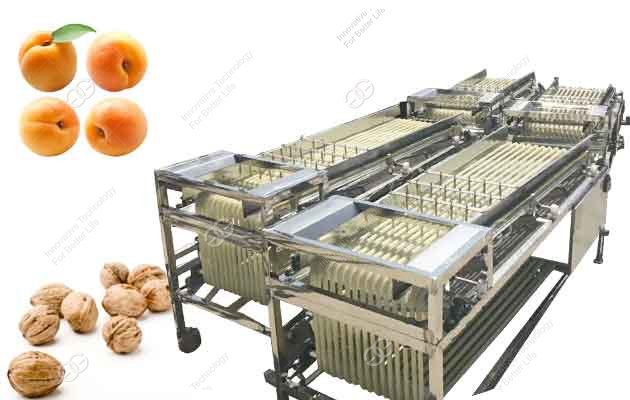 Machine de tri de fruits