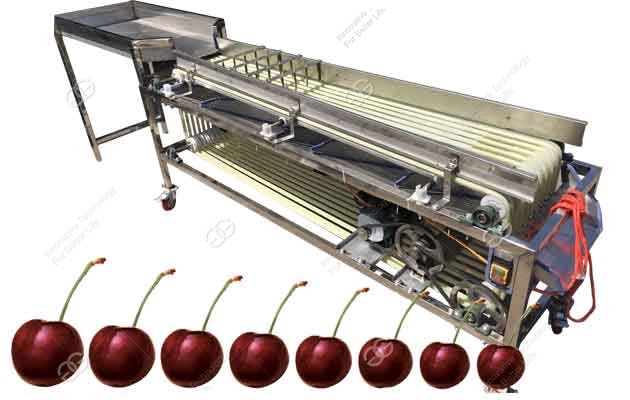 machine de calibrage des cerises
