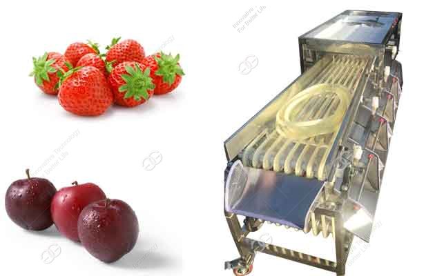 Machine de tri de fraises