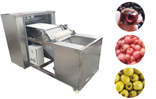 machine à dénoyauter les fruits automatique