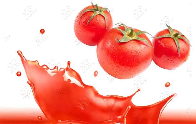 d&eacute;tails de l'usine de jus de tomate