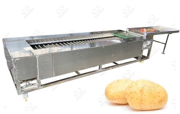 machines de calibrage de pommes de terre