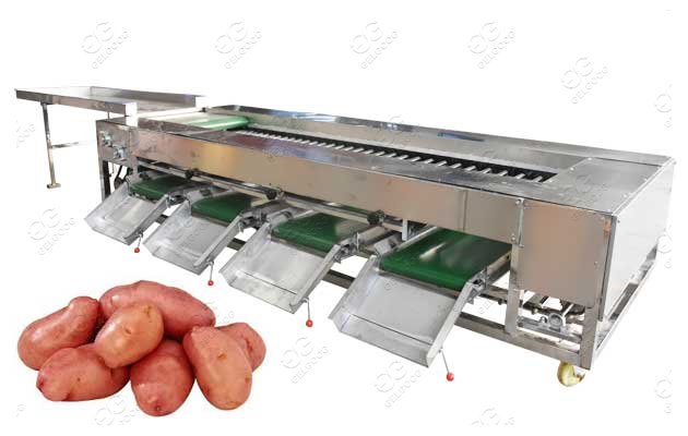 machine de nettoyage et de calibrage des pommes de terre