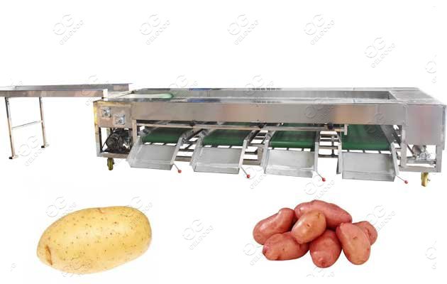 machine à laver et à calibrer les pommes de terre