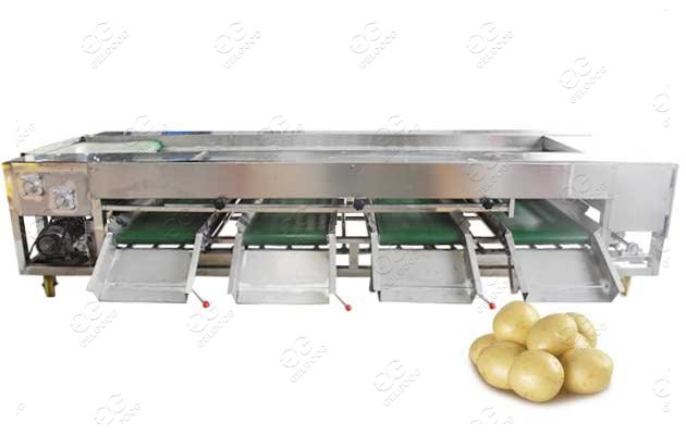 fabricants de machines de calibrage de pommes de terre