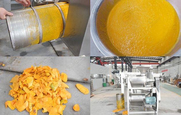 Unité de traitement de pulpe de mangue