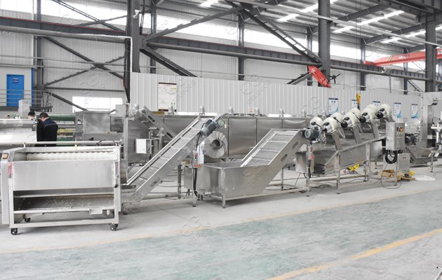 organigramme de l'entreprise de fabrication de poudre de gingembre
