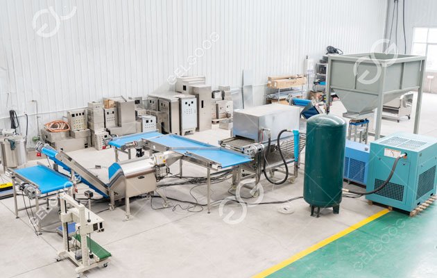 co&ucirc;t des machines de traitement des oignons