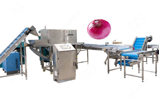 machine de traitement des oignons Égypte