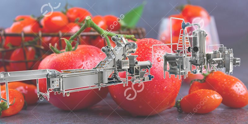 prix de l'usine de fabrication de ketchup