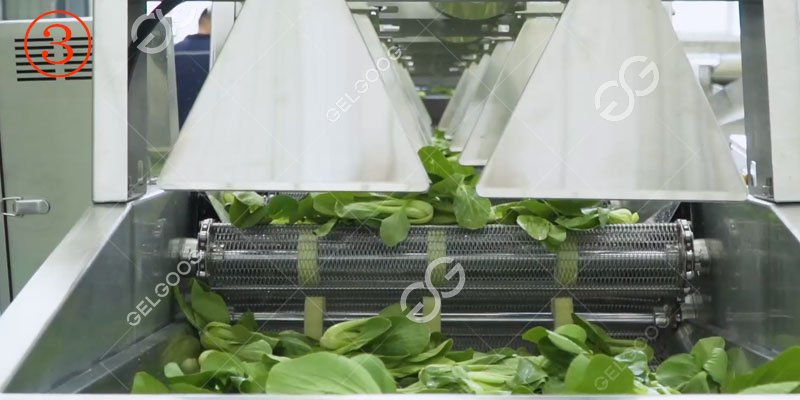 prix d'une machine de s&eacute;chage de laitue industrielle