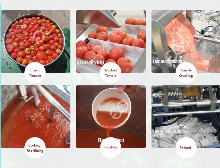 organigramme du processus de fabrication de la p&acirc;te de tomate