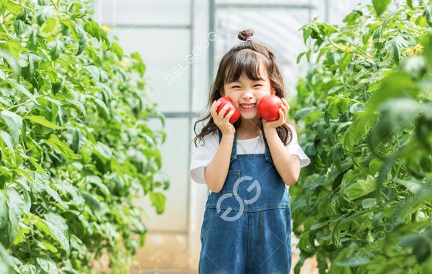 traitement de d&eacute;coupe de fruits frais