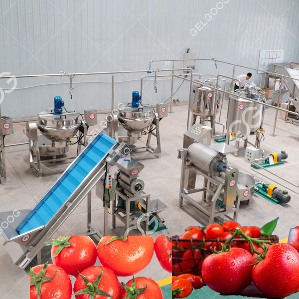 machine de fabrication de sauce tomate