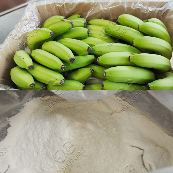 fabriquer de la poudre de banane commercialement