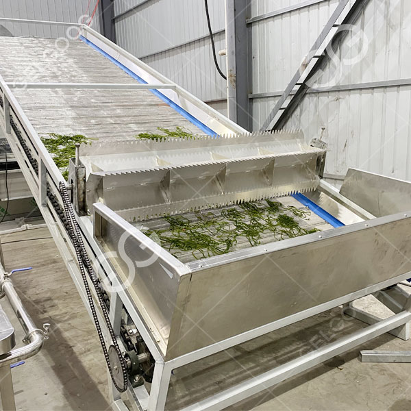 usine de transformation de l&eacute;gumes s&eacute;ch&eacute;s