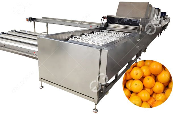 Machine de calibrage des agrumes